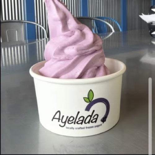Dairy-Free Vegan Blueberry